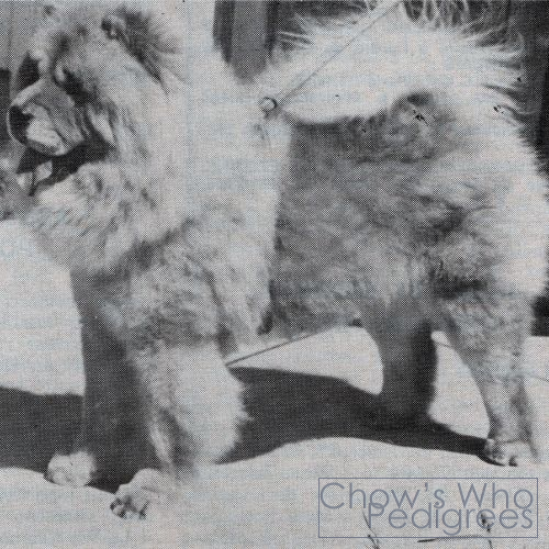 Chow's Who