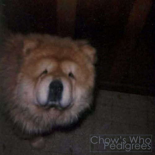 Chow's Who