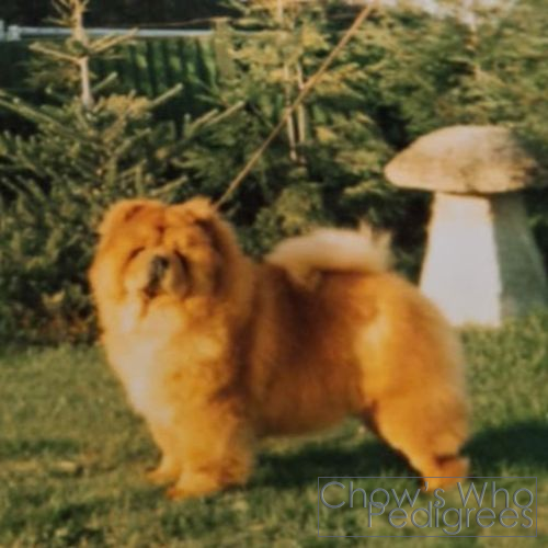 Chow's Who