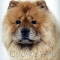 Chow's Who