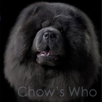 Chow's Who