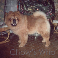 Chow's Who