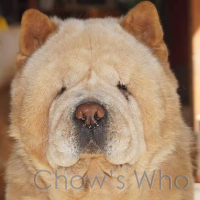 Chow's Who