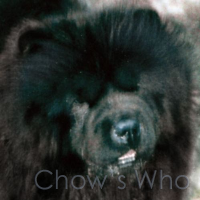 Chow's Who