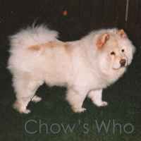 Chow's Who