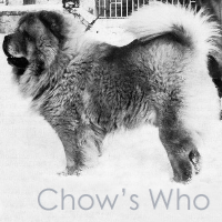 Chow's Who