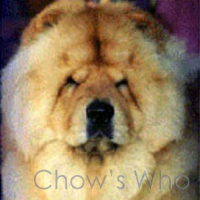 Chow's Who