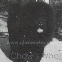 Chow's Who