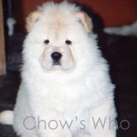 Chow's Who