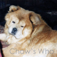 Chow's Who