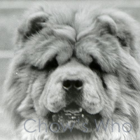 Chow's Who