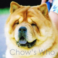 Chow's Who