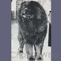 Chow's Who