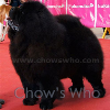 Chow's Who