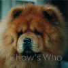 Chow's Who