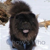 Chow's Who