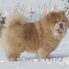 Chow's Who